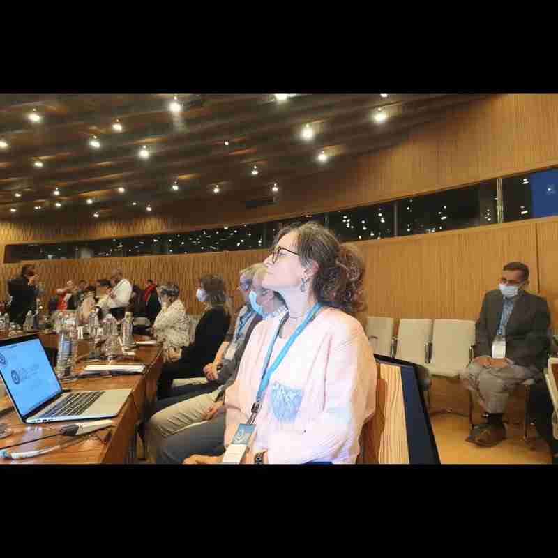 {{ $t(value.text) }}